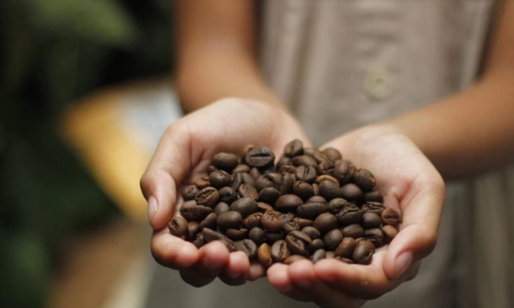 Οι πληθωριστικές ανησυχίες και τα commodities – Στα ύψη τα αγροτικά προϊόντα